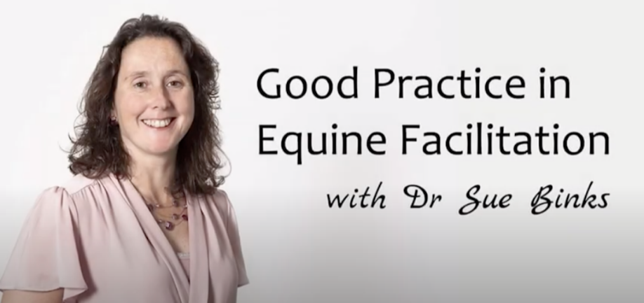 Dr Sue Binks - Good practice in Equine Facilitation